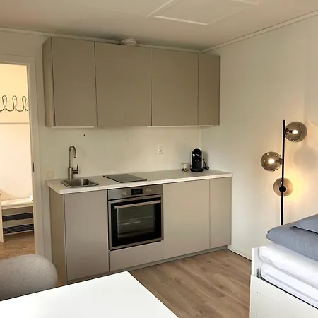 Paskeferie! Fin Og Nyoppusset Studioleilighet For To - Gratis Parkering Og El-lading * Trondheim